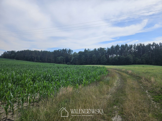 Działka Sprzedaż Pasieka 2
