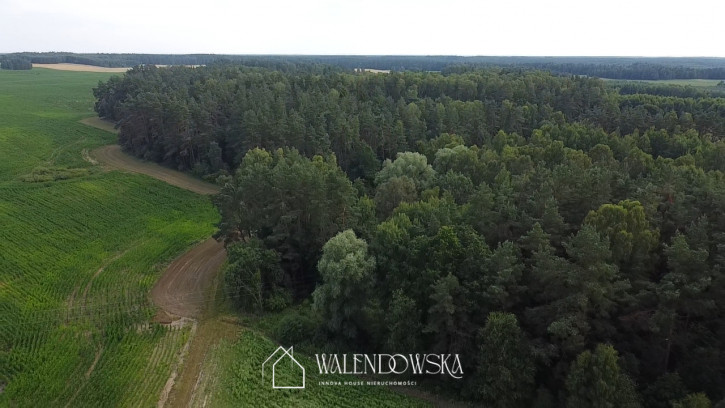 Działka Sprzedaż Pasieka 9