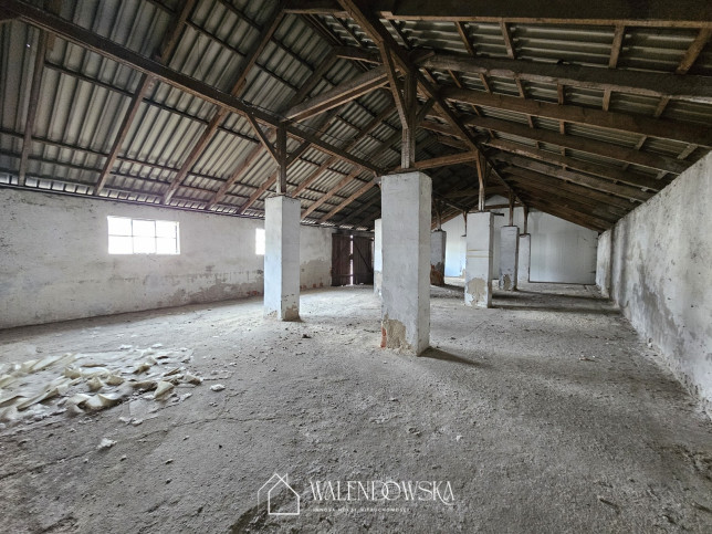 Działka Sprzedaż Staniewice 15