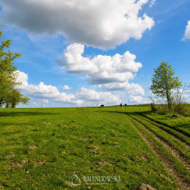 Działka Sprzedaż Łabiszewo