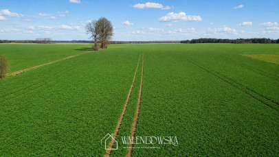 Działka Sprzedaż Łabiszewo