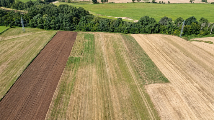 Działka Sprzedaż Postomino 7