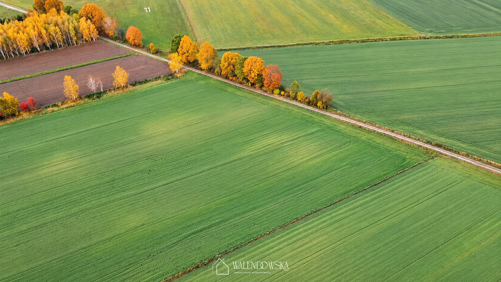Działka Sprzedaż Sierakowo Słupskie
