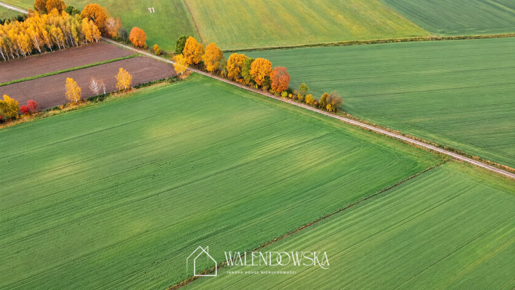Działka Sprzedaż Sierakowo Słupskie 1