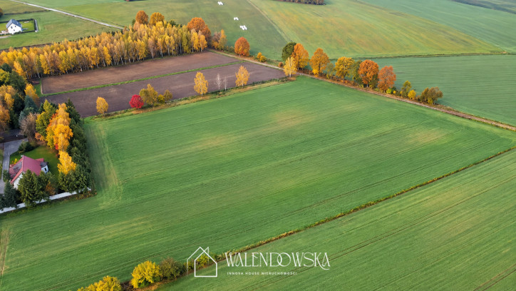Działka Sprzedaż Sierakowo Słupskie 2