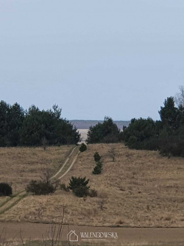 Działka Sprzedaż Gardna Wielka 1