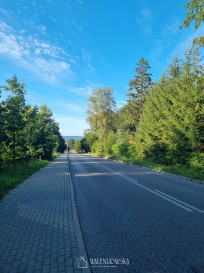 Działka Sprzedaż Suchacz