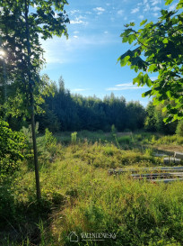 Działka Sprzedaż Suchacz