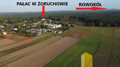 Działka Sprzedaż Żoruchowo