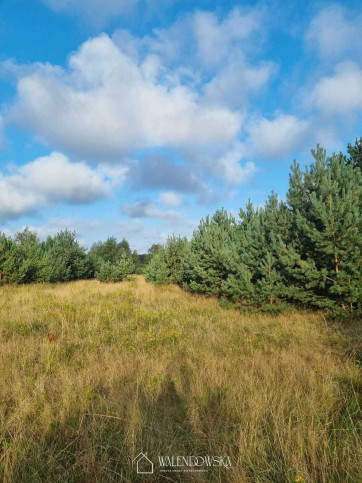 Działka Sprzedaż Smołdzino 1