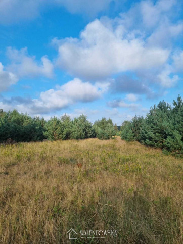 Działka Sprzedaż Smołdzino 3