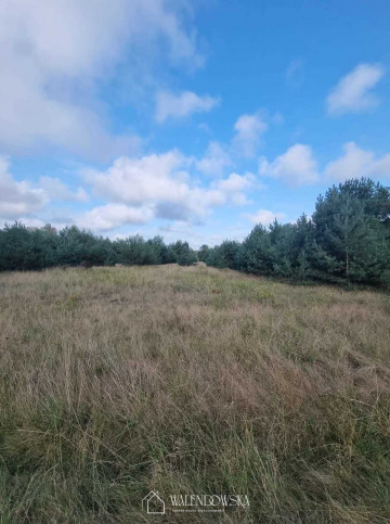 Działka Sprzedaż Smołdzino 8
