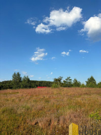 Działka Sprzedaż Gardna Wielka