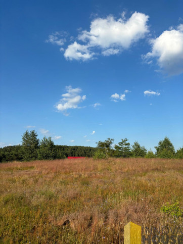 Działka Sprzedaż Gardna Wielka 1