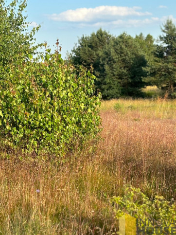 Działka Sprzedaż Gardna Wielka 9