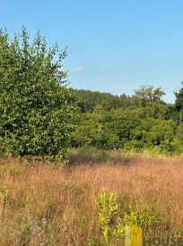 Działka Sprzedaż Gardna Wielka