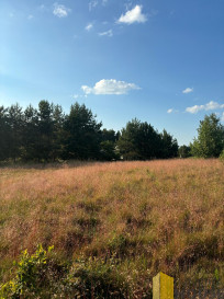 Działka Sprzedaż Gardna Wielka