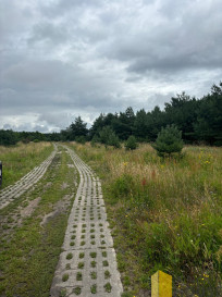 Działka Sprzedaż Smołdzino